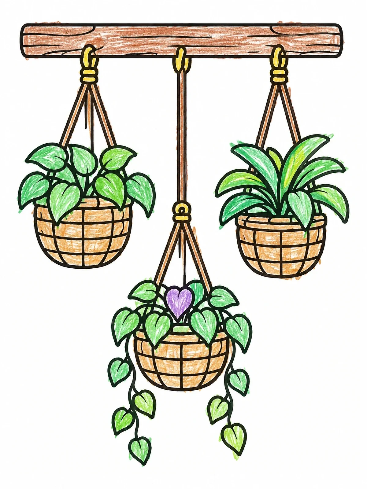 Colored example of the Hanging Boho Plant Baskets coloring page