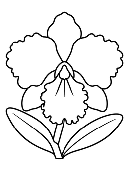 Free printable Simple Cattleya Orchid Bloom coloring page