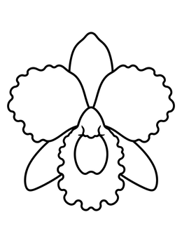 Free printable Simple Cattleya Orchid Bloom coloring page
