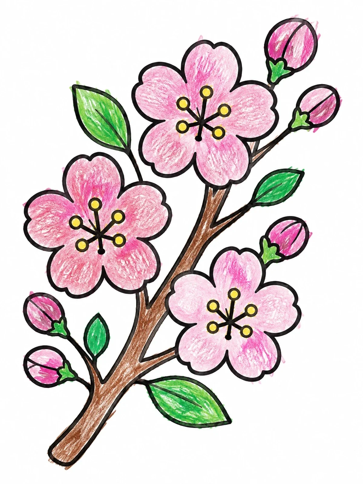 Colored example of the Blooming Cherry Blossom Branch coloring page