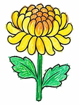 Simple Chrysanthemum Bloom On Stem Coloring Page