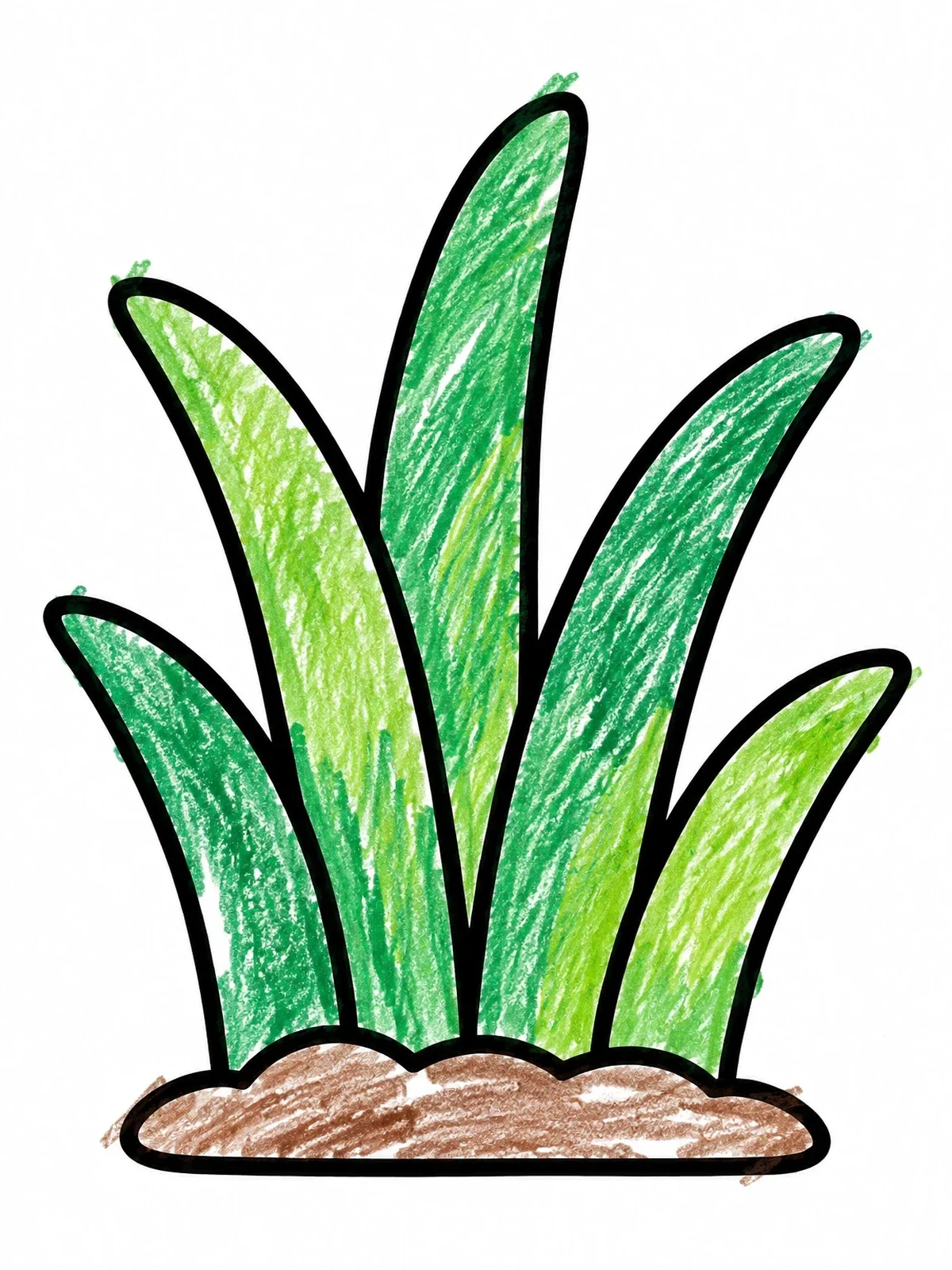Colored example of the Simple Clump Of Grass coloring page
