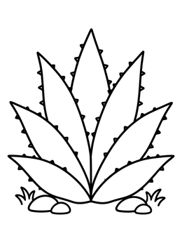 A simple desert coloring page showing a spiky agave plant growing among small stones.