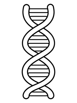 Free printable Simple Dna Double Helix coloring page