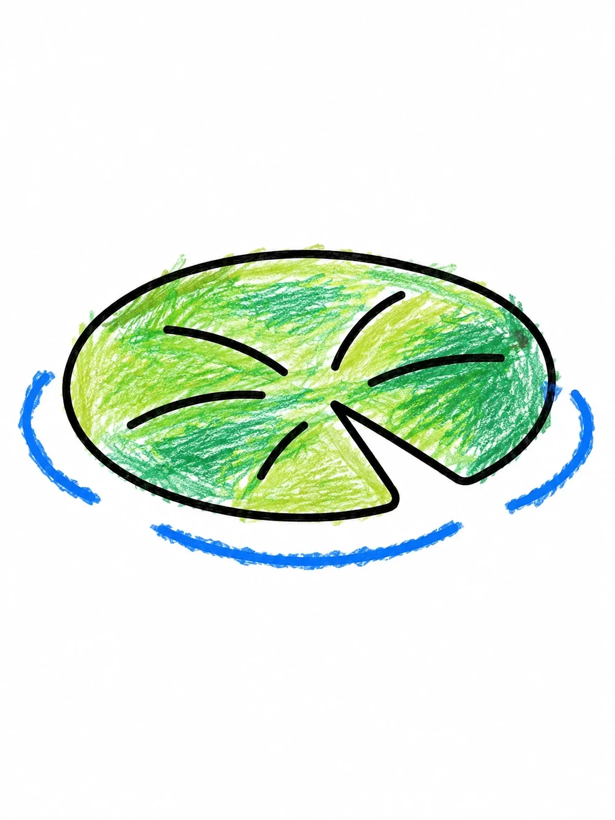 Colored example of the Simple Floating Lily Pad coloring page