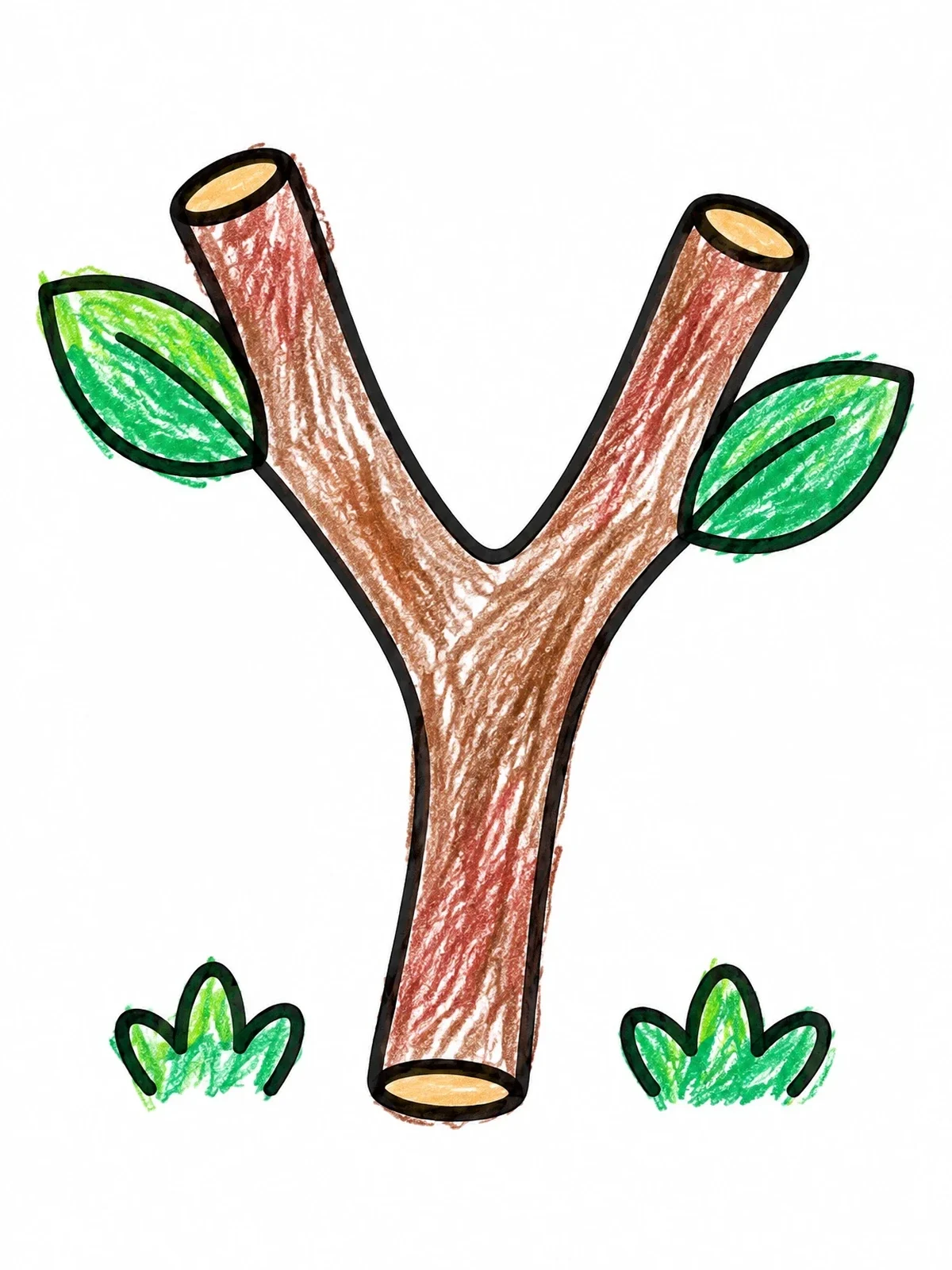 Colored example of the Simple Forked Tree Branch coloring page