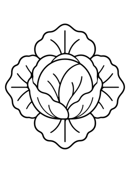 Free printable Simple Fresh Cabbage Head coloring page