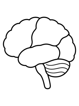 Free printable Simple Human Brain Diagram coloring page