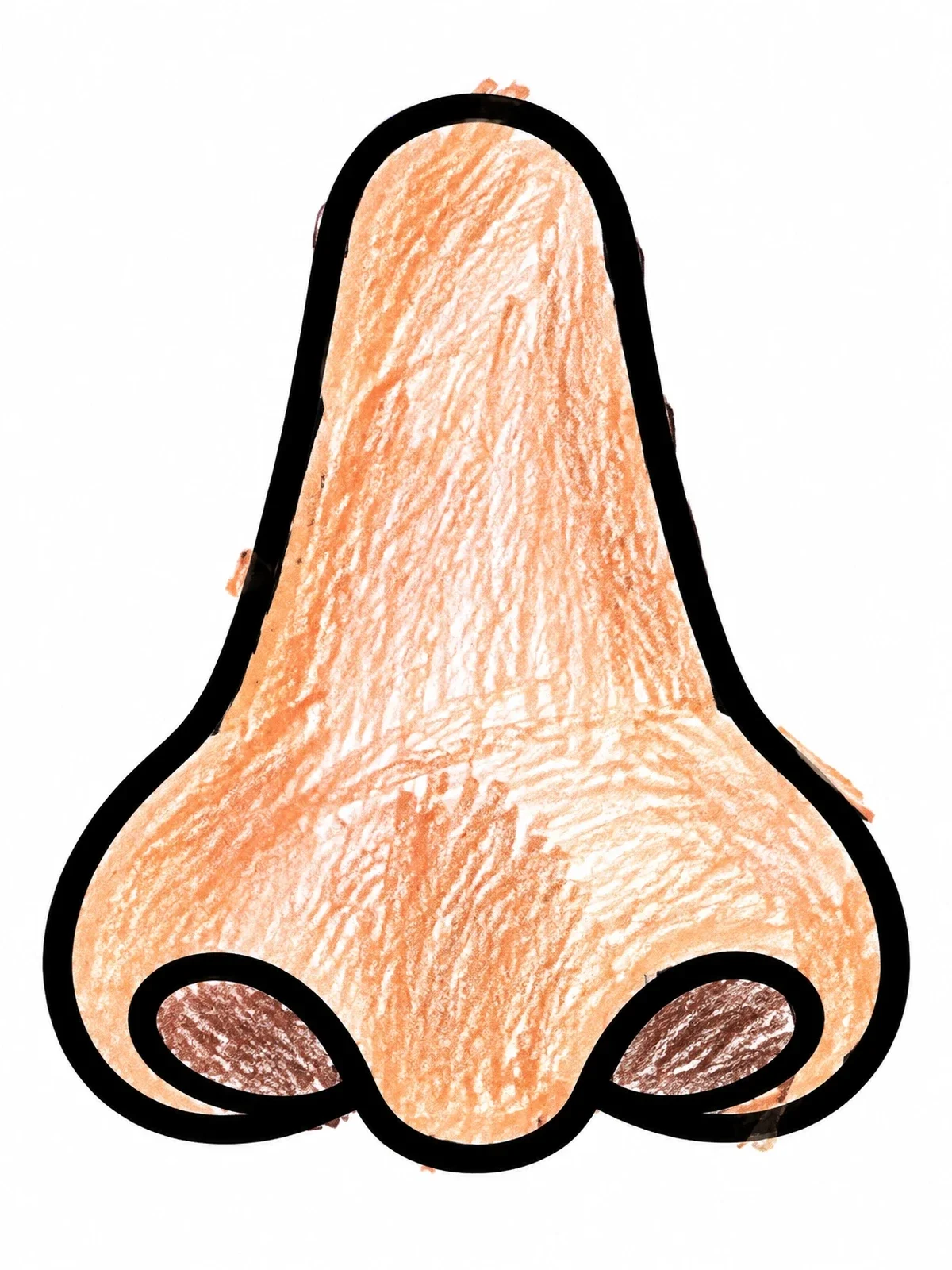 Colored example of the Simple Human Nose Outline coloring page