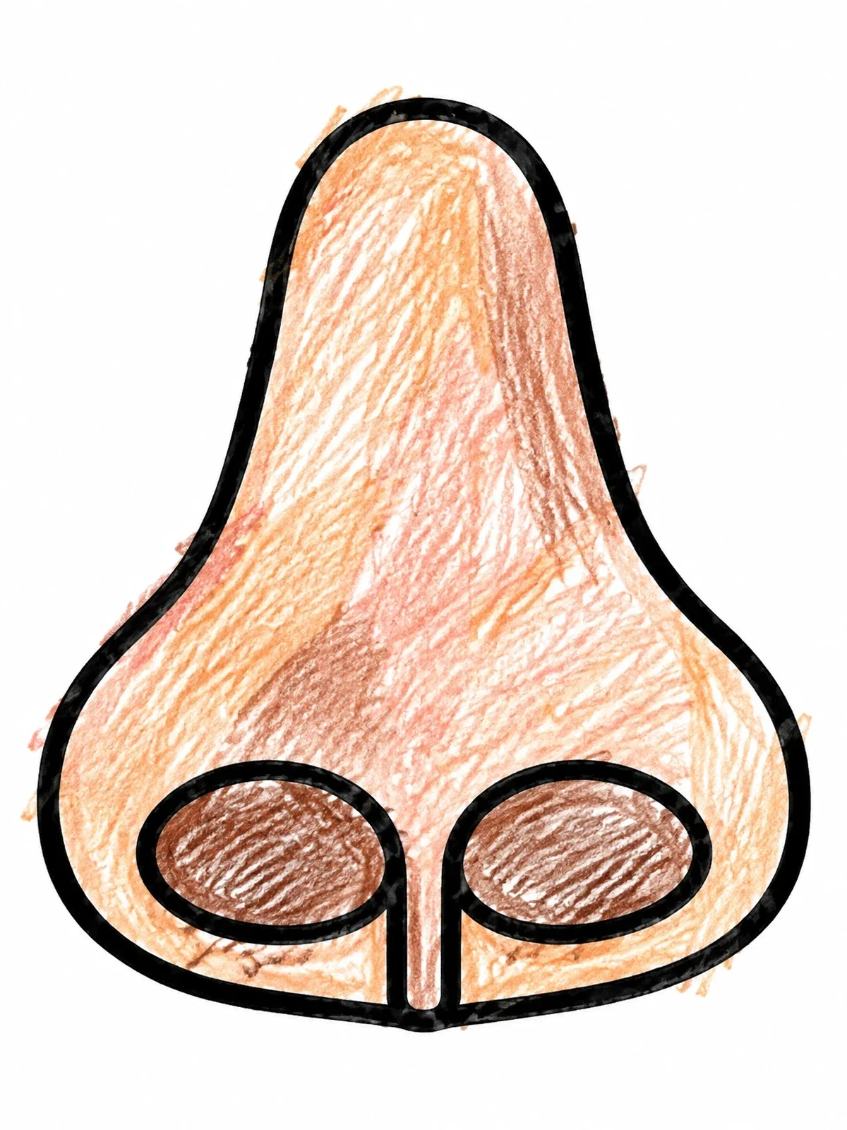 Colored example of the Simple Human Nose Outline coloring page