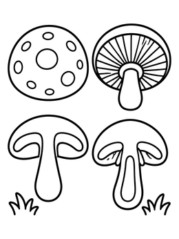 A simple mushroom coloring page showing different views and cross sections of a fungi cap and stem.