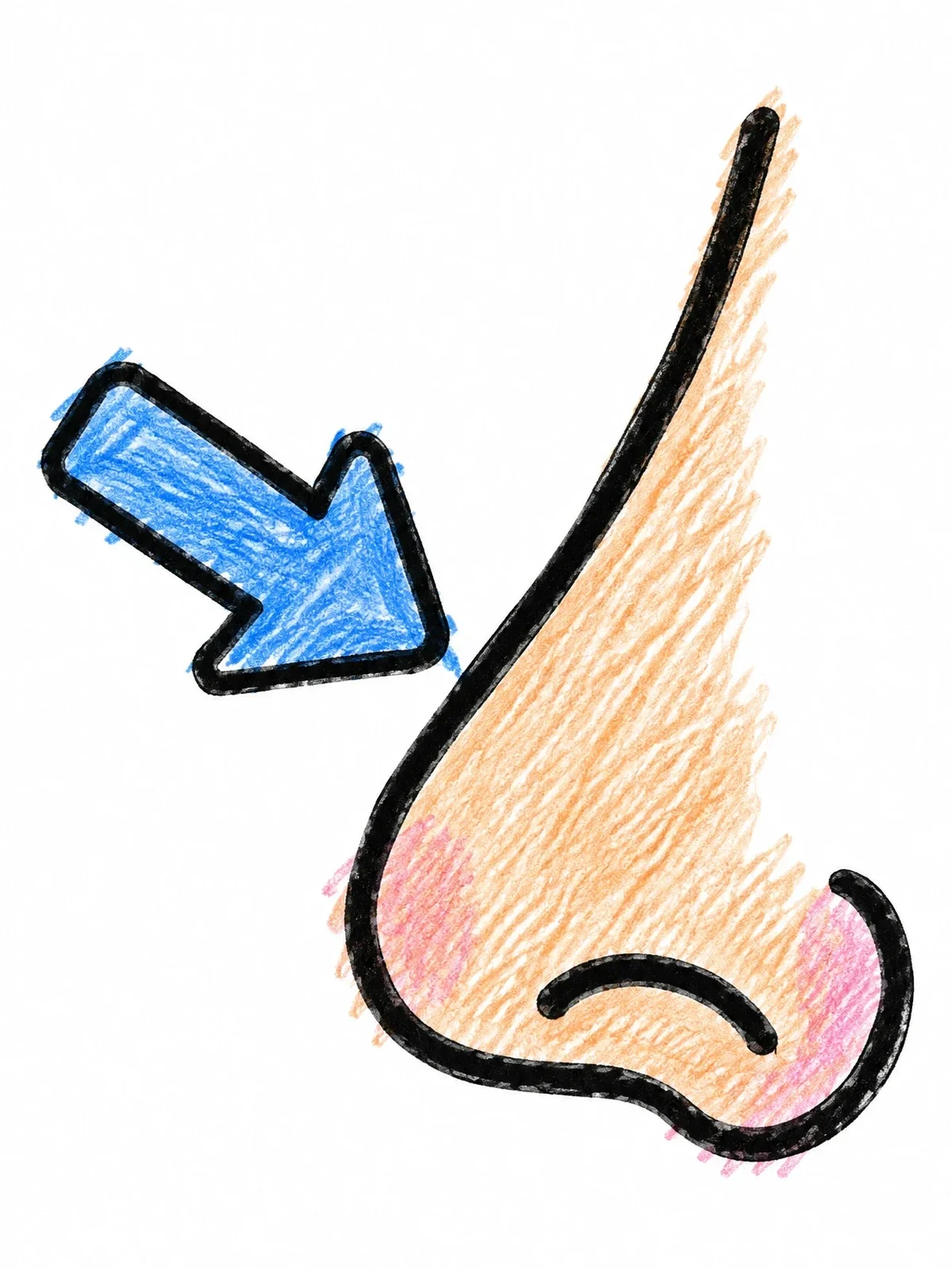 Colored example of the Simple Nose Profile With Arrow coloring page