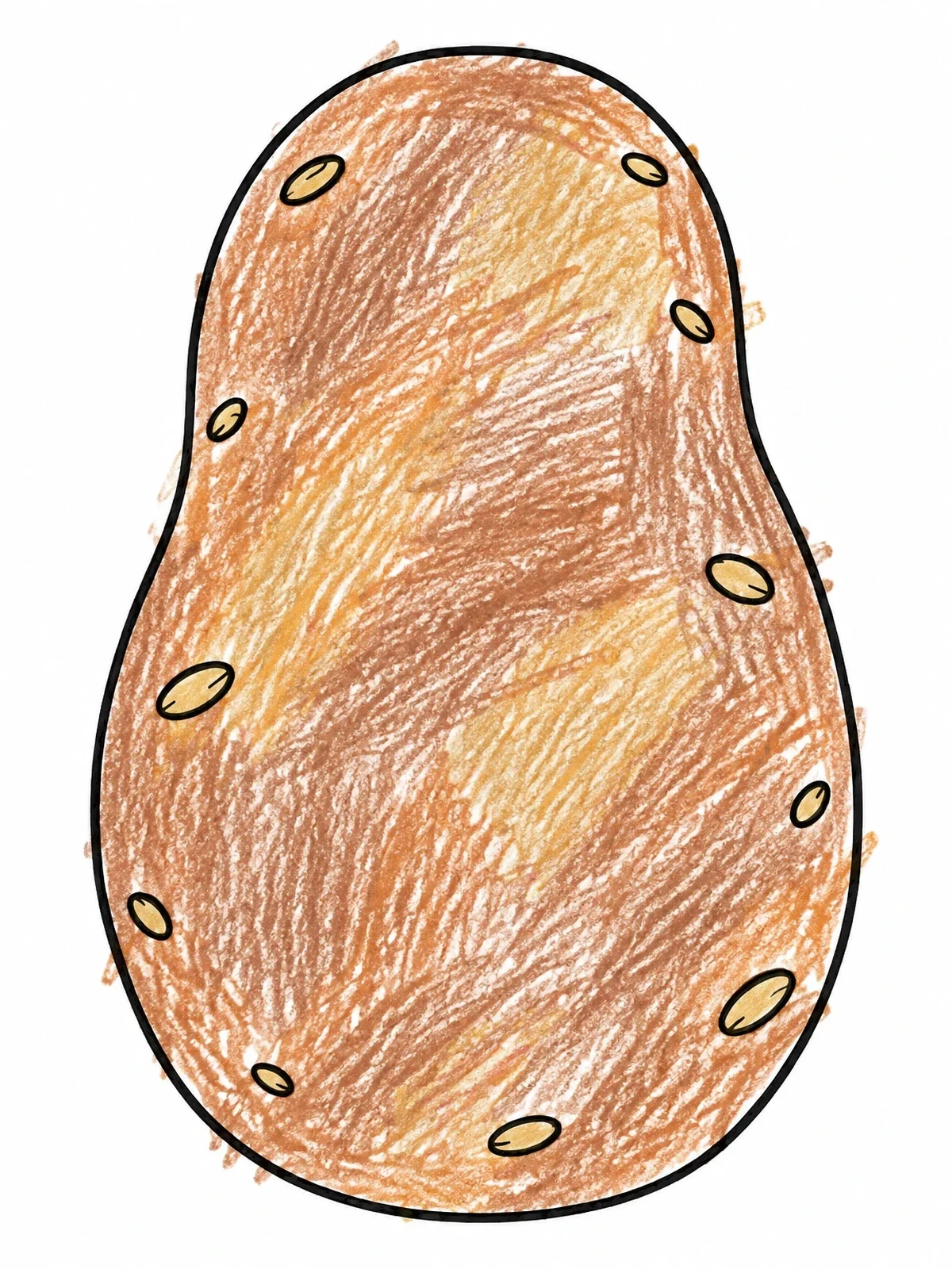 Colored example of the Simple Potato Outline Template coloring page