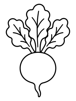 Free printable Simple Round Radish With Leaves coloring page