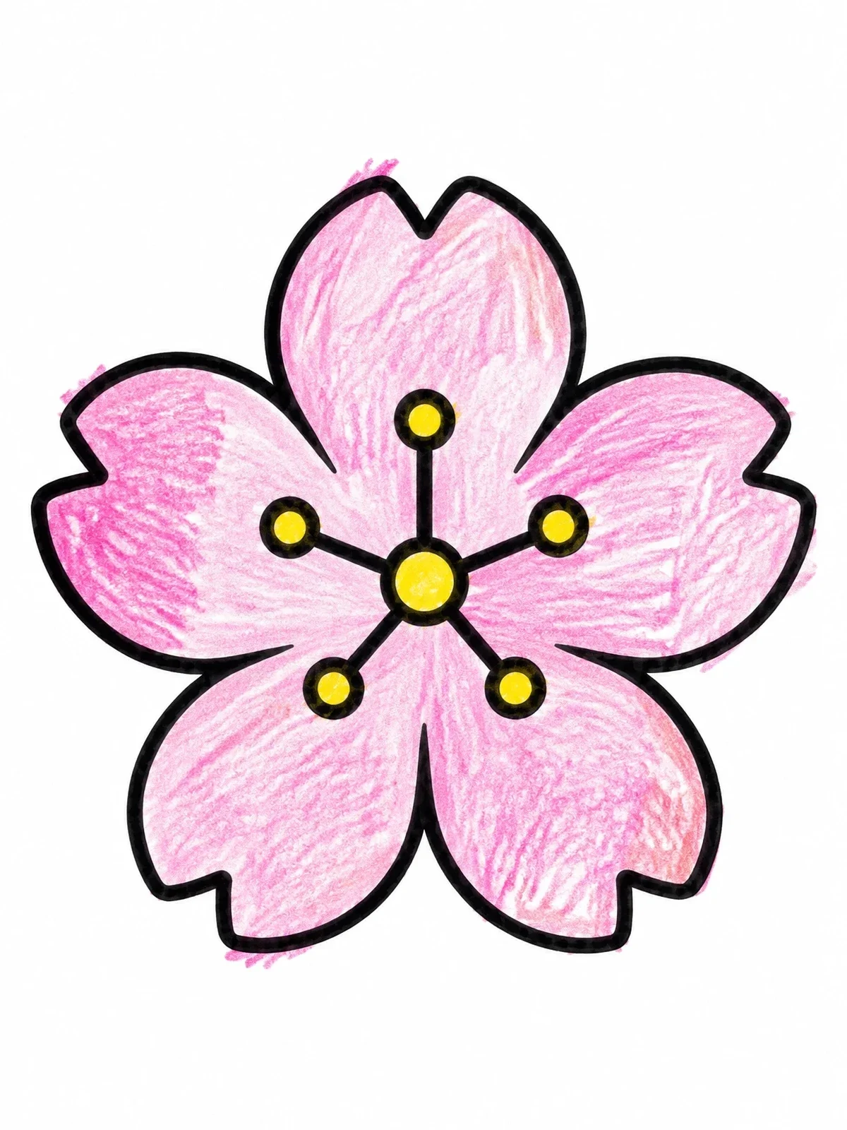 Colored example of the Simple Sakura Cherry Blossom Flower coloring page