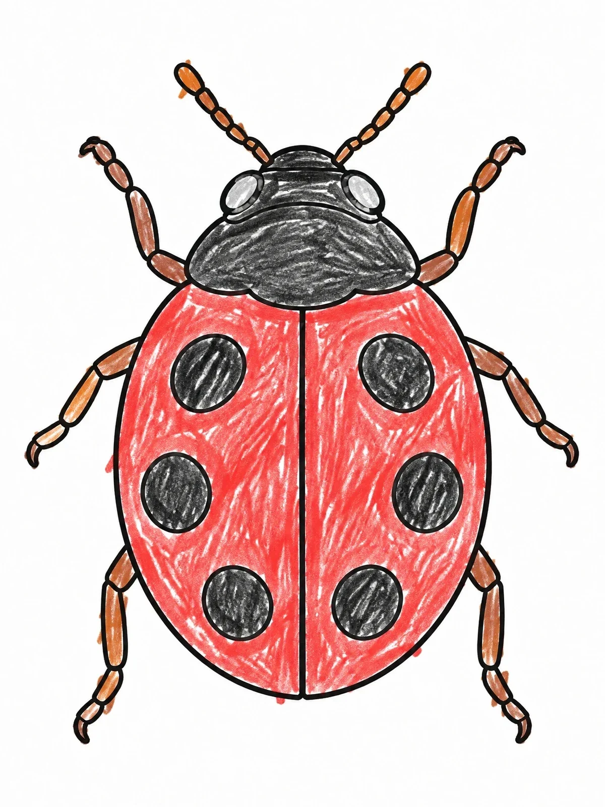 Colored example of the Simple Symmetrical Ladybug Outline coloring page