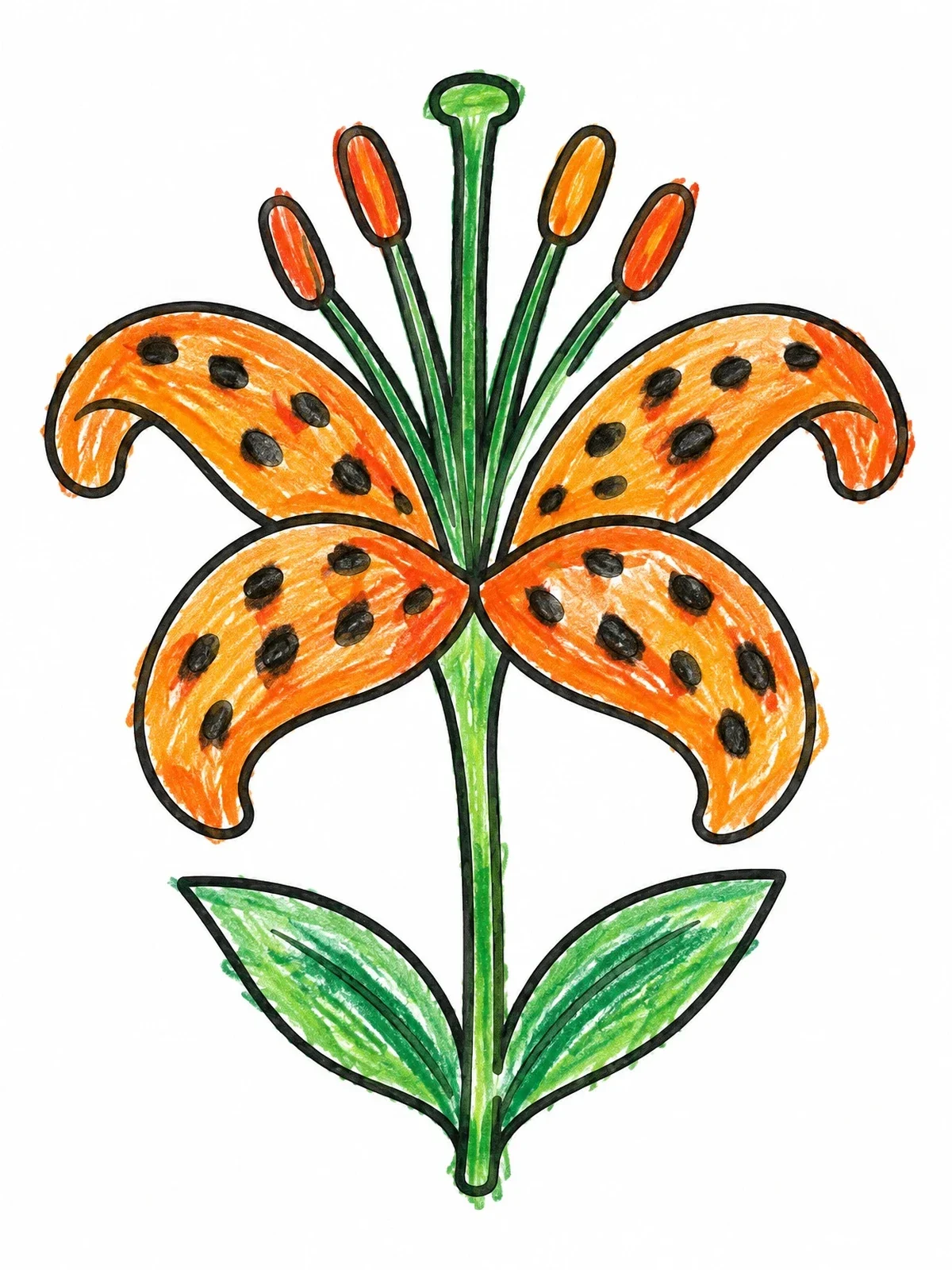 Colored example of the Single Blooming Tiger Lily Flower coloring page