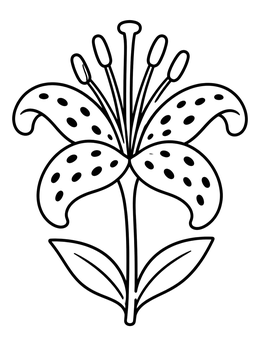 Free printable Single Blooming Tiger Lily Flower coloring page