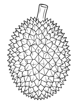 Free printable Spiky Durian Tropical Fruit coloring page