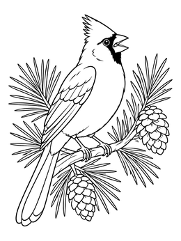 A singing cardinal coloring page perched on a pine branch with needles and pine cones.