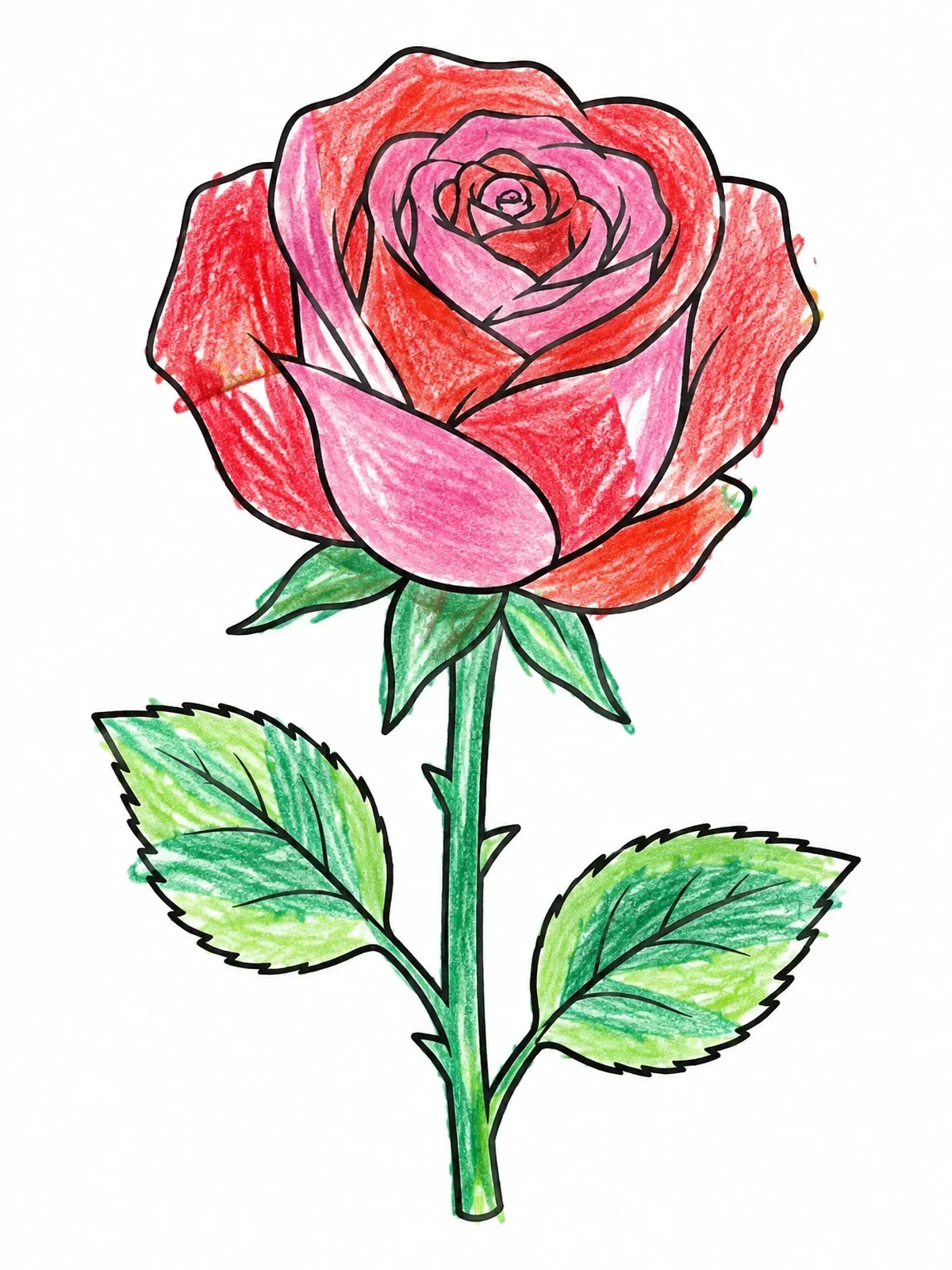 Colored example of the Single Blooming Rose Blossom coloring page