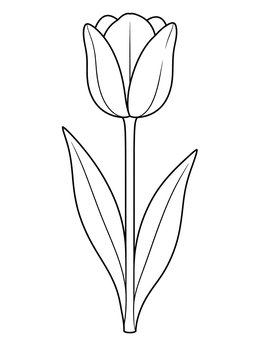 A blooming tulip flower coloring page with clear outlines and two leaves.