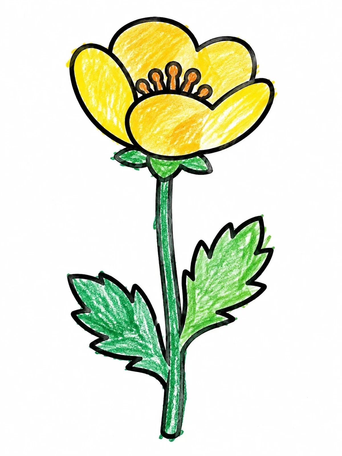 Colored example of the Single Buttercup Flower On Stem coloring page