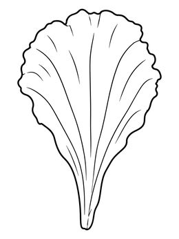 Free printable Single Detailed Marigold Flower Petal coloring page