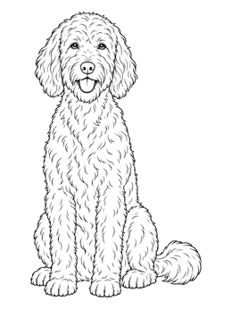 Free printable Sitting Fluffy Labradoodle Dog coloring page