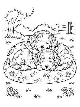 Free printable Sleeping Aussiedoodle Puppies On Cushion coloring page