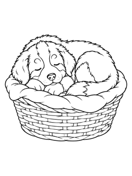 Free printable Sleeping Bernese Puppy In Basket coloring page