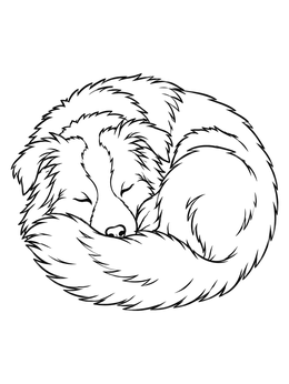 Free printable Sleeping Border Collie Curled Up coloring page