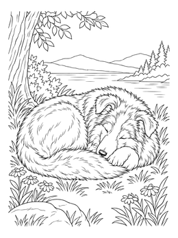 A peaceful collie coloring page with a fluffy puppy curled up sleeping beside a scenic lakeside.