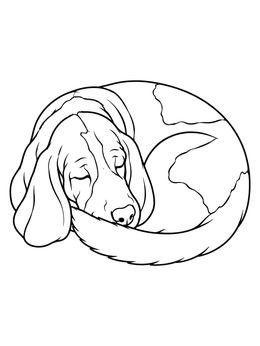 Free printable Sleeping Curled Up Basset Hound coloring page