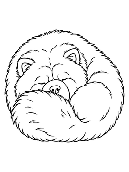 A chow chow coloring page of a cute fluffy dog sleeping peacefully curled in a round ball.
