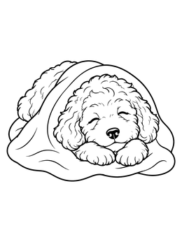 Free printable Sleeping Goldendoodle Puppy Under Blanket coloring page