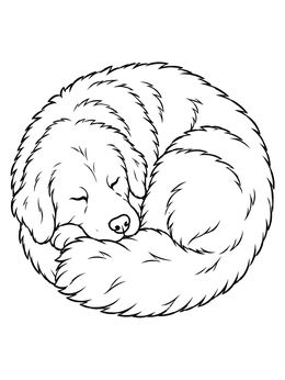 A peaceful sleeping dog in this Great Pyrenees coloring page.