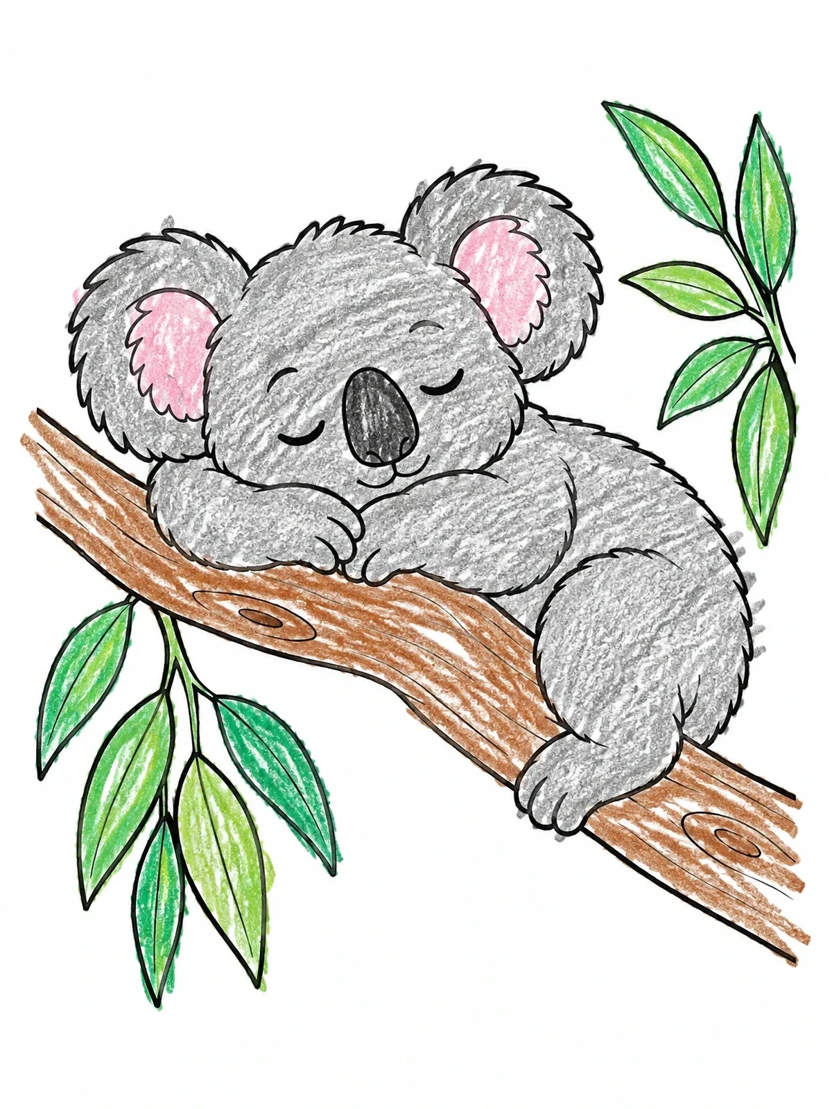 Colored example of the Sleeping Koala On Tree Branch coloring page