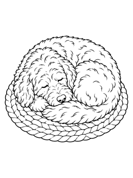 Free printable Sleeping Curly Labradoodle On Woven Rug coloring page