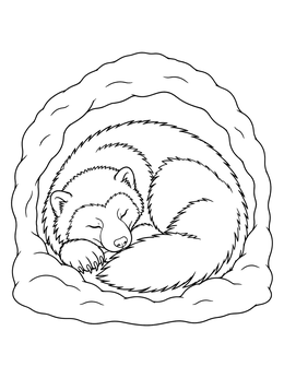 A peaceful wolverine coloring page showing the animal curled up asleep inside a snow den.