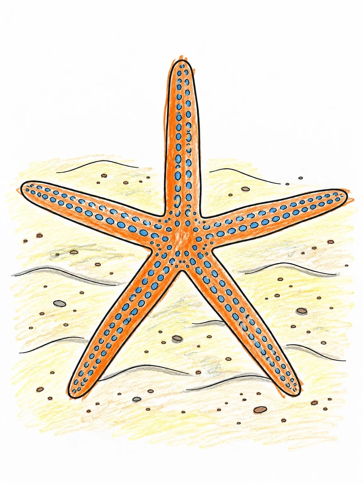 Colored example of the Slender Starfish On Ocean Sand coloring page