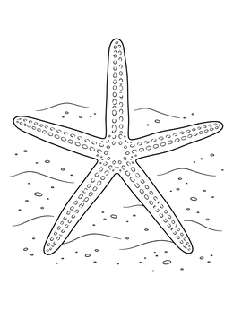 A detailed starfish coloring page showing a slender sea star resting on wavy ocean sand.