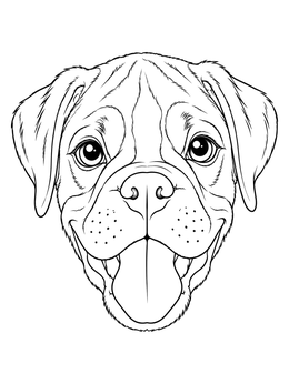 A happy smiling boxer dog coloring page with floppy ears and tongue out.