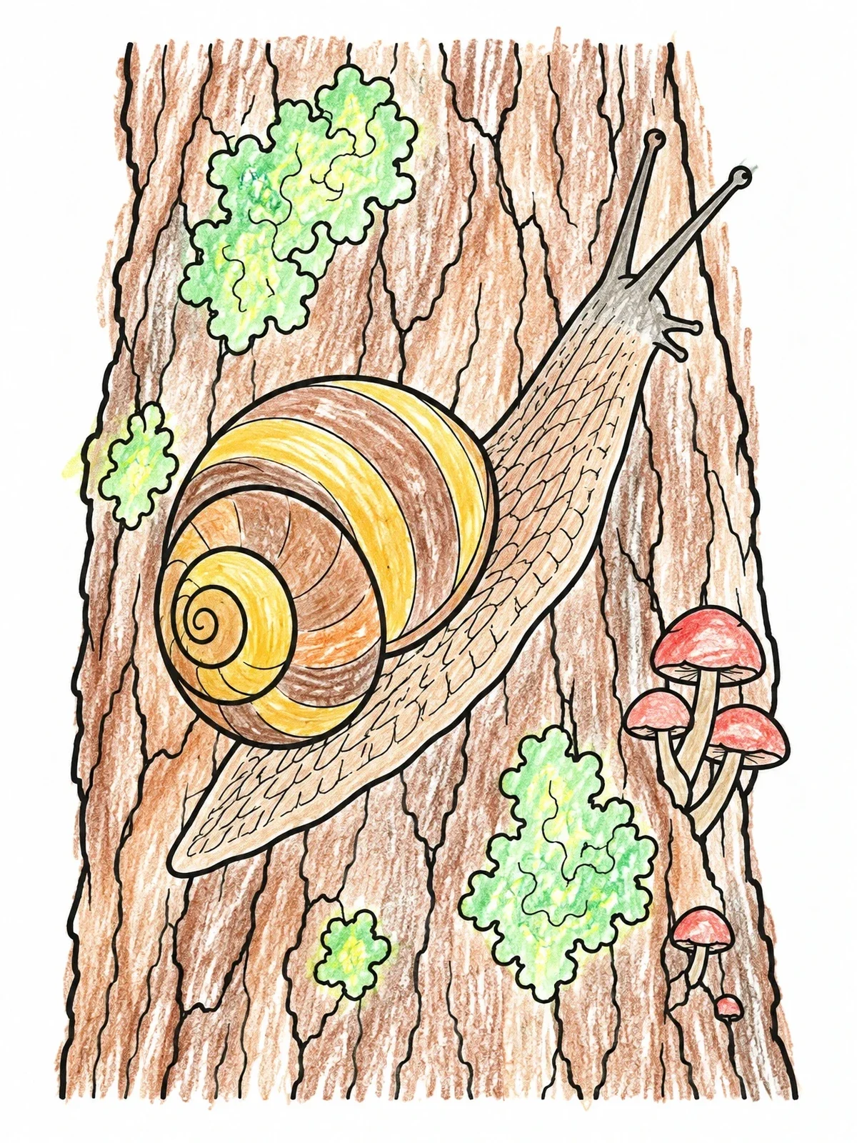 Colored example of the Snail Crawling On Tree Bark coloring page