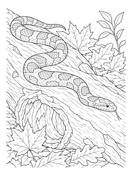 A detailed snake coloring page showing a serpent slithering over a log amidst fallen leaves.