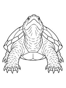 A detailed snapping turtle coloring page showing sharp claws and a raised head from the front.