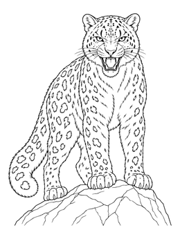 Free printable Snarling Snow Leopard On Rock coloring page