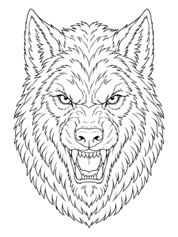 A detailed werewolf coloring page showing a snarling wolf head with sharp fangs and dense fur.