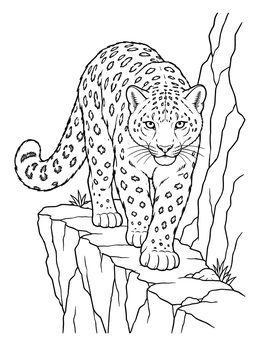 Free printable Snow Leopard On Mountain Ledge coloring page