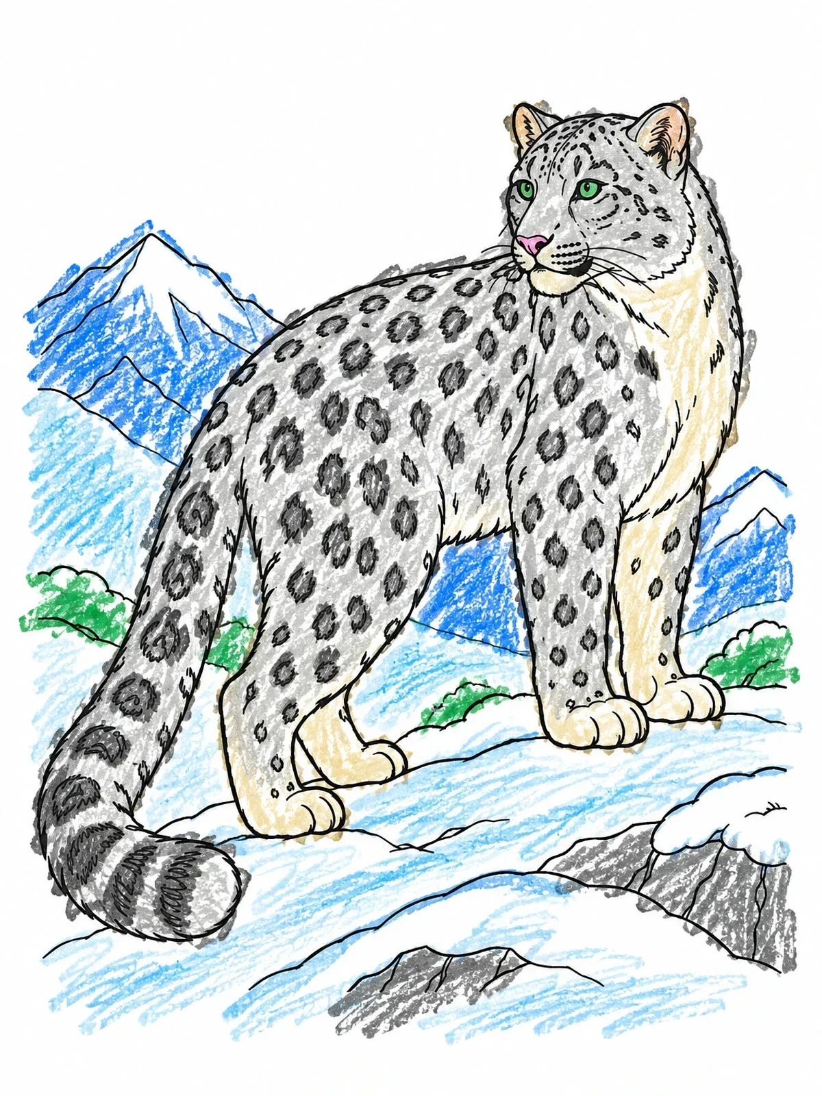 Colored example of the Snow Leopard On Mountain Ridge coloring page